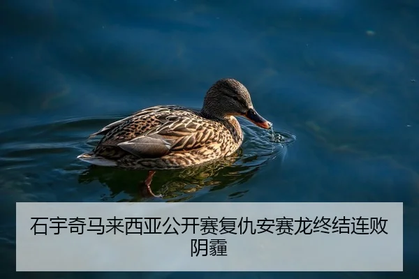 石宇奇马来西亚公开赛复仇安赛龙终结连败阴霾